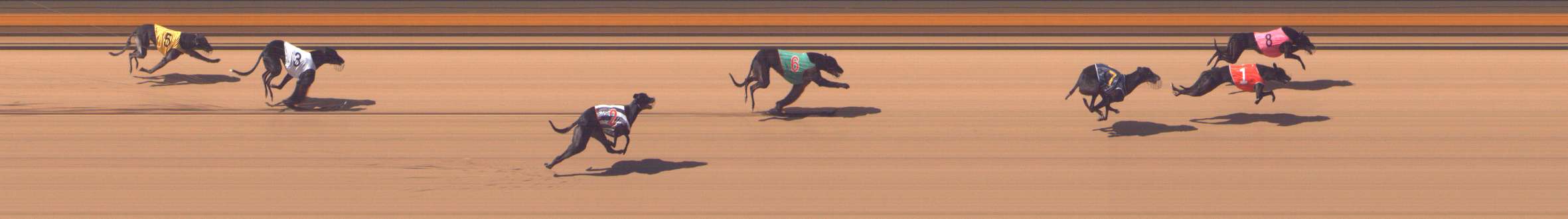 Photo finish for Shepparton Race 4