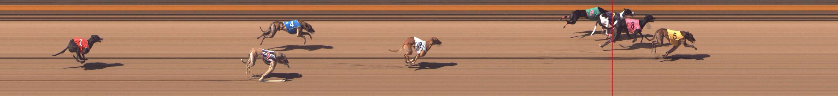 Photo finish for Shepparton Race 5