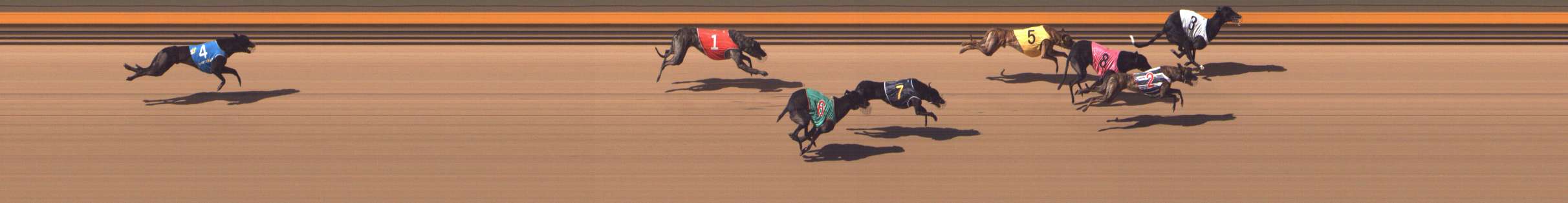 Photo finish for Shepparton Race 6