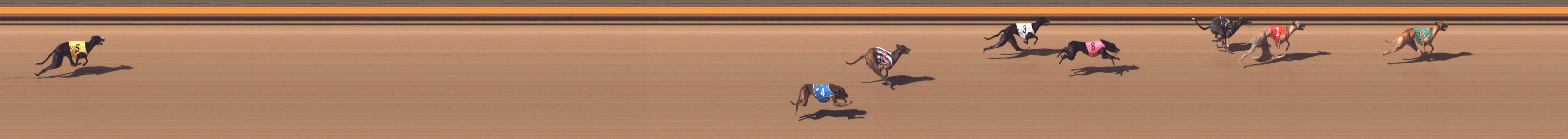 Photo finish for Shepparton Race 7
