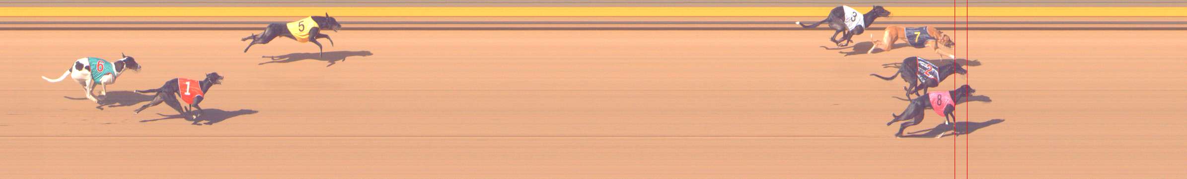 Photo finish for Shepparton Race 8