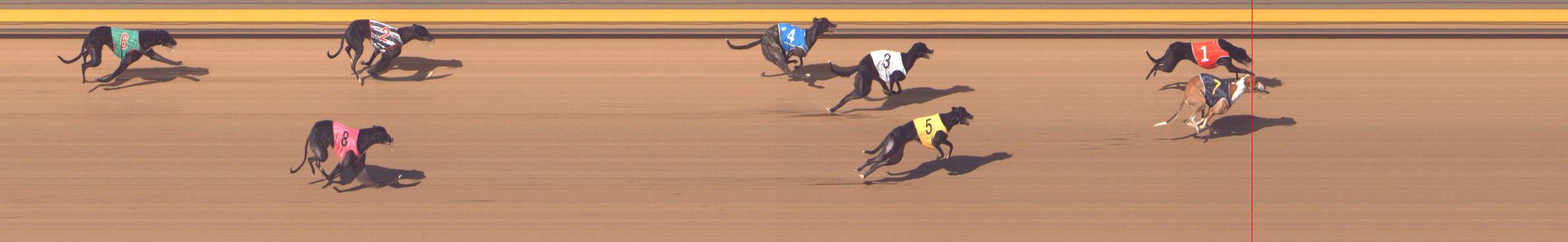 Photo finish for Shepparton Race 9
