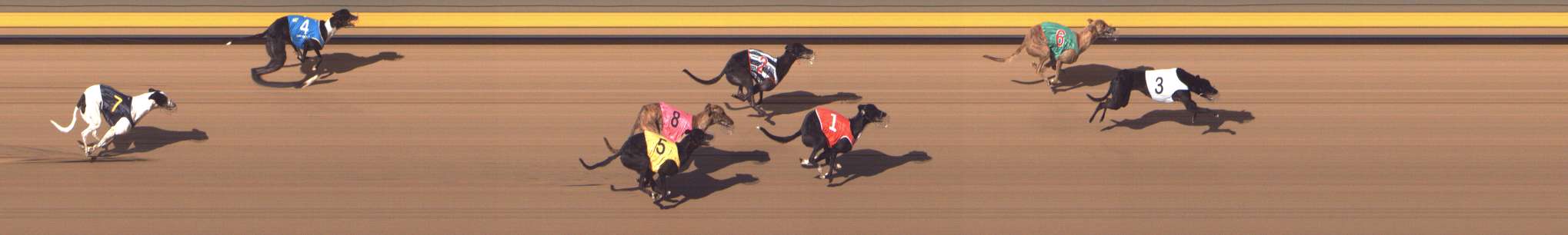 Photo finish for Shepparton Race 10