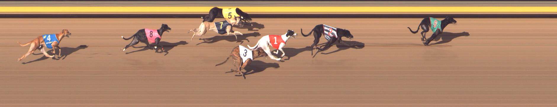 Photo finish for Shepparton Race 11