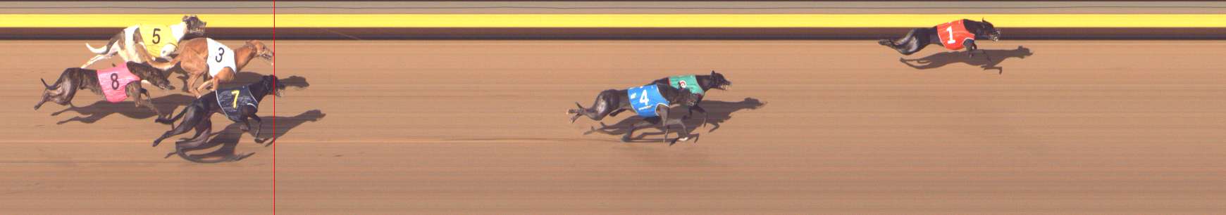 Photo finish for Shepparton Race 12