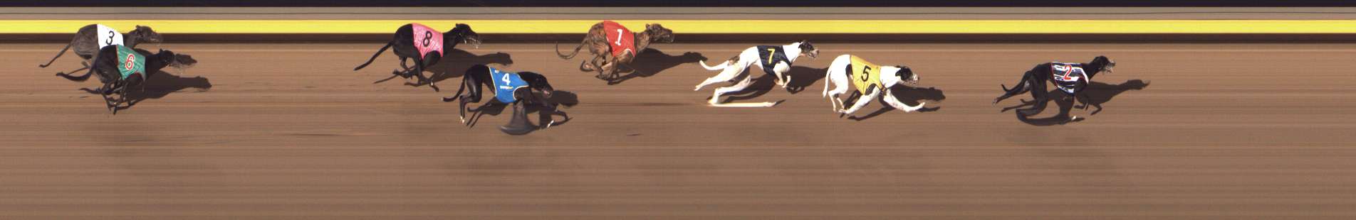 Photo finish for Shepparton Race 13