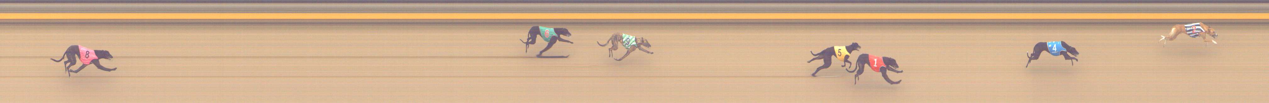 Photo finish for Shepparton Race 2