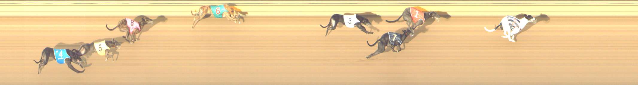 Photo finish for Shepparton Race 4