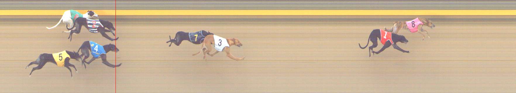 Photo finish for Shepparton Race 5