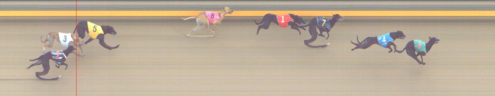 Photo finish for Shepparton Race 6