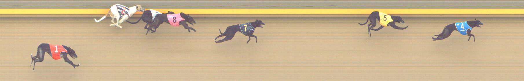 Photo finish for Shepparton Race 7