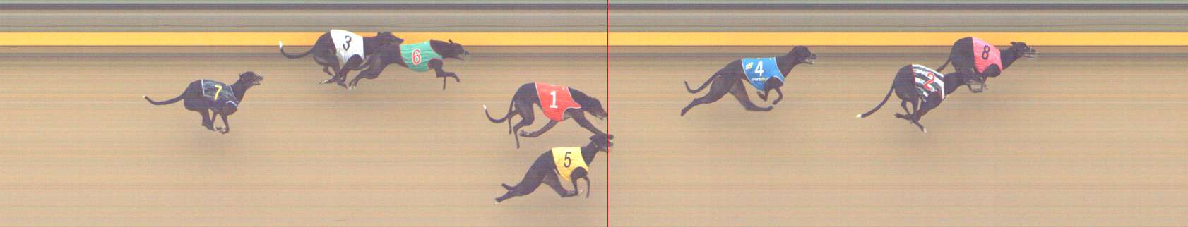 Photo finish for Shepparton Race 8