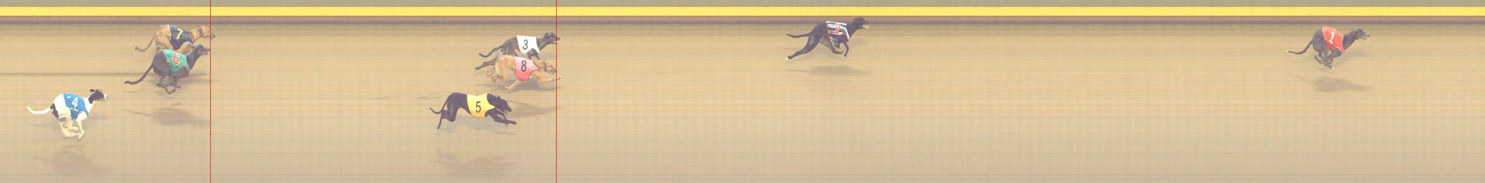 Photo finish for Shepparton Race 10