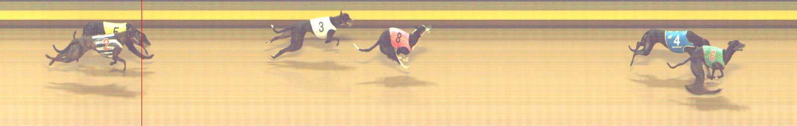 Photo finish for Shepparton Race 11