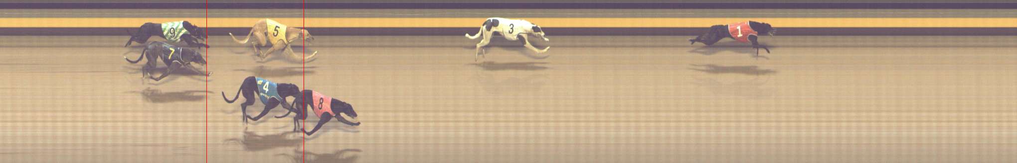 Photo finish for Shepparton Race 12