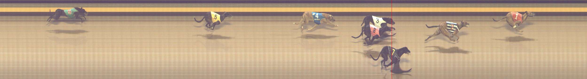 Photo finish for Shepparton Race 13