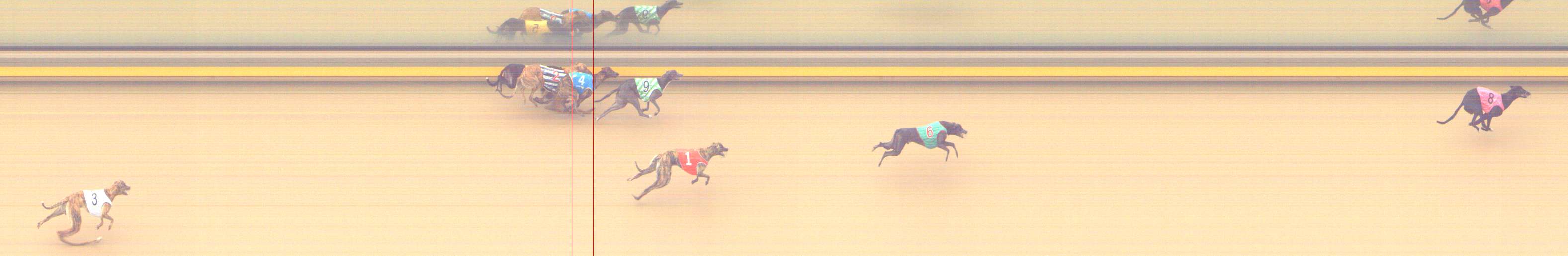 Race result finish photo