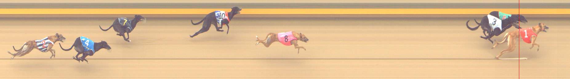 Race result finish photo