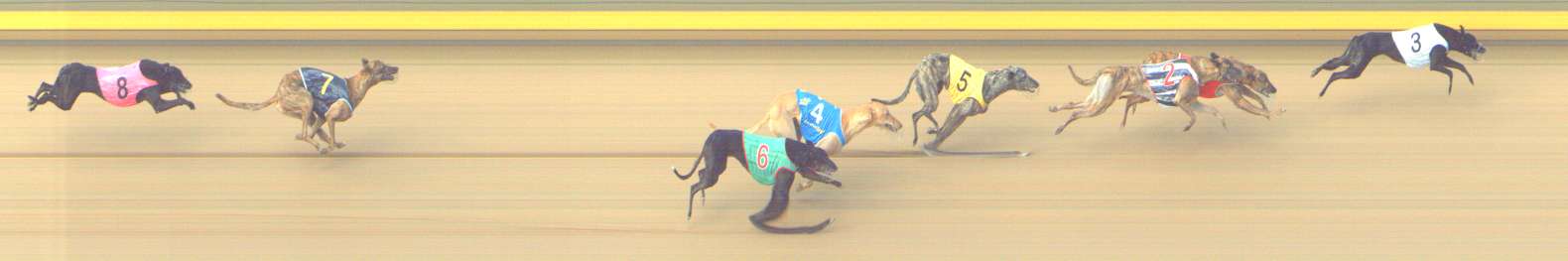 Race result finish photo