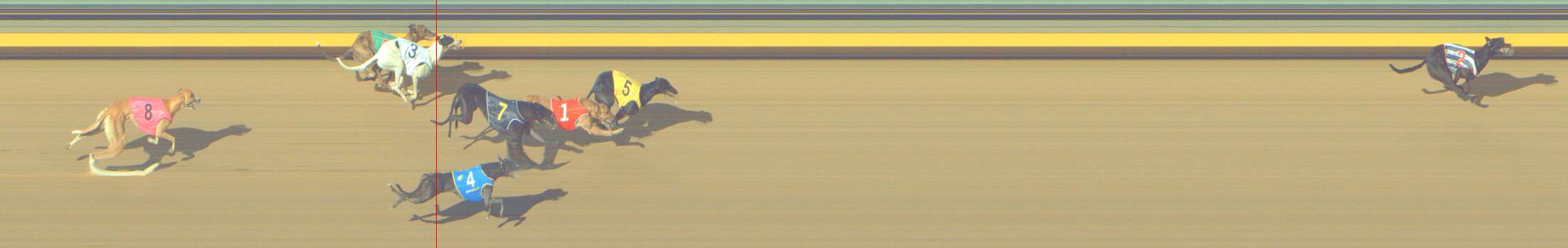 Photo finish for Shepparton Race 10