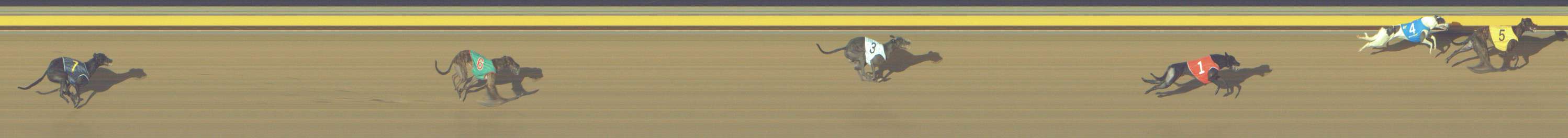 Photo finish for Shepparton Race 12