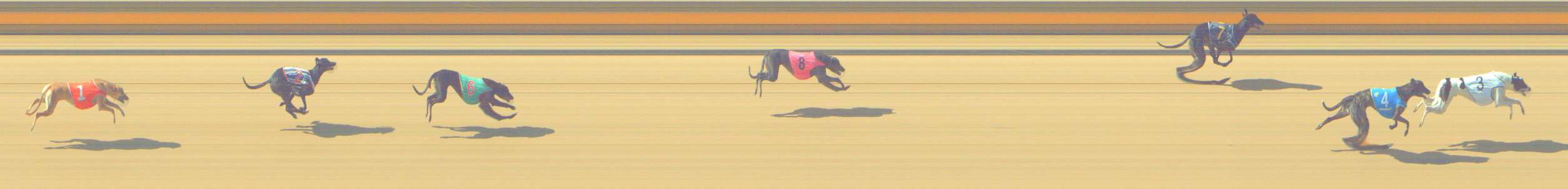 Race result finish photo