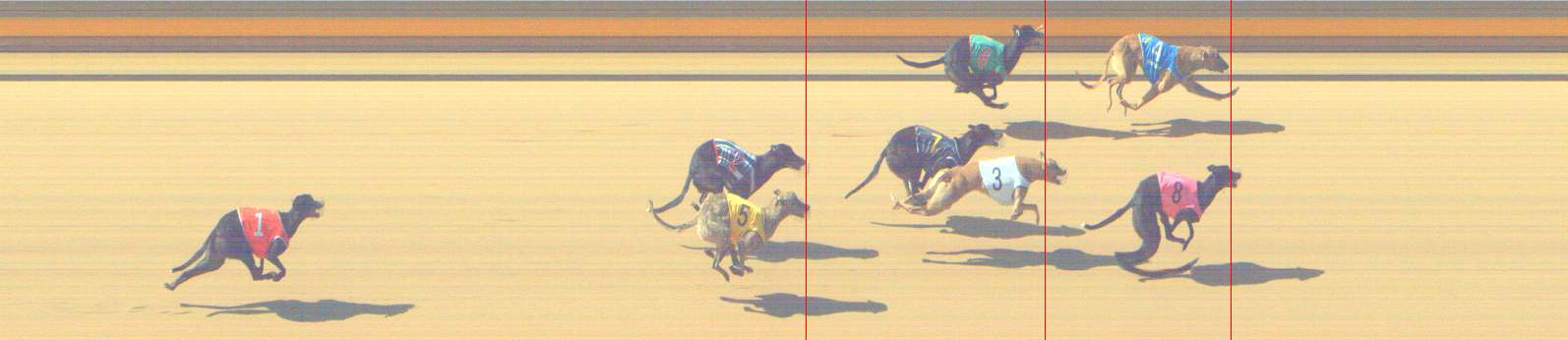 Photo finish for Shepparton Race 2