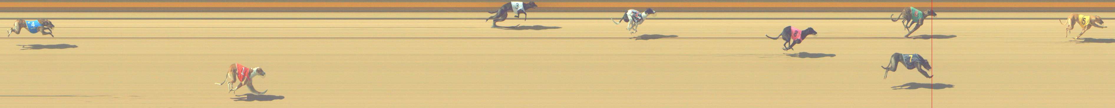 Photo finish for Shepparton Race 3