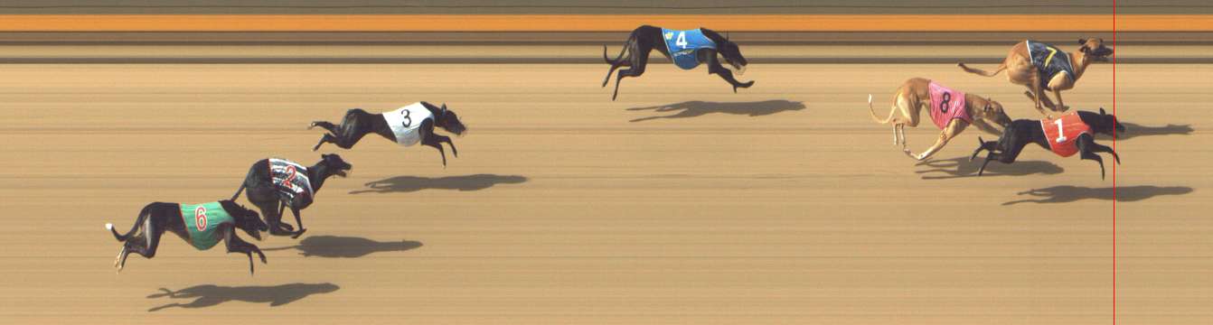 Photo finish for Shepparton Race 5