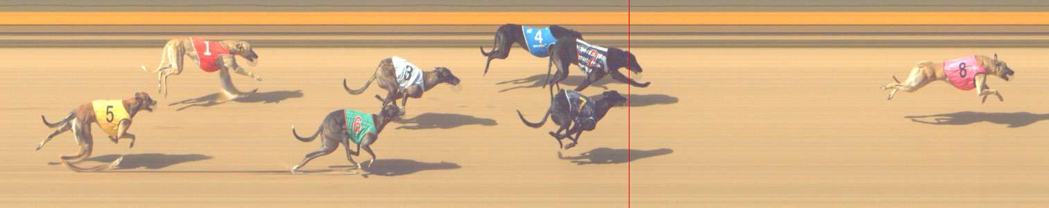 Photo finish for Shepparton Race 6