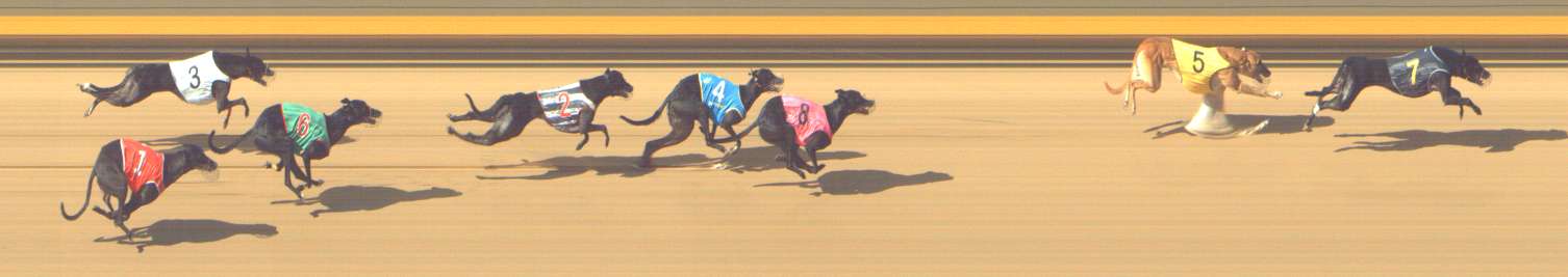 Photo finish for Shepparton Race 7