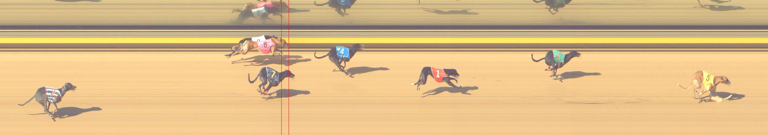 Photo finish for Shepparton Race 8