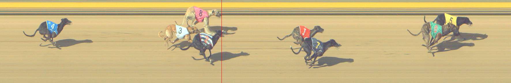 Photo finish for Shepparton Race 9