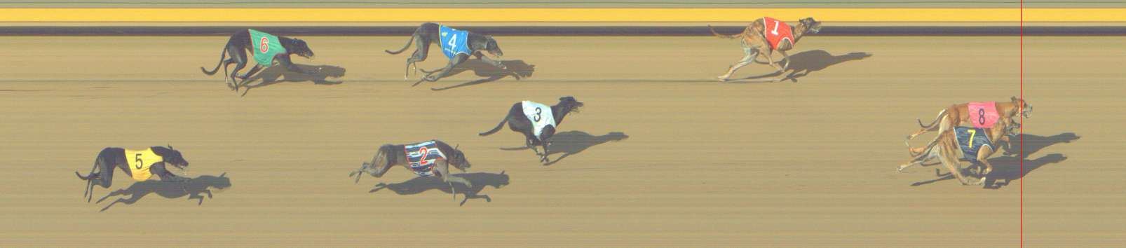 Photo finish for Shepparton Race 11