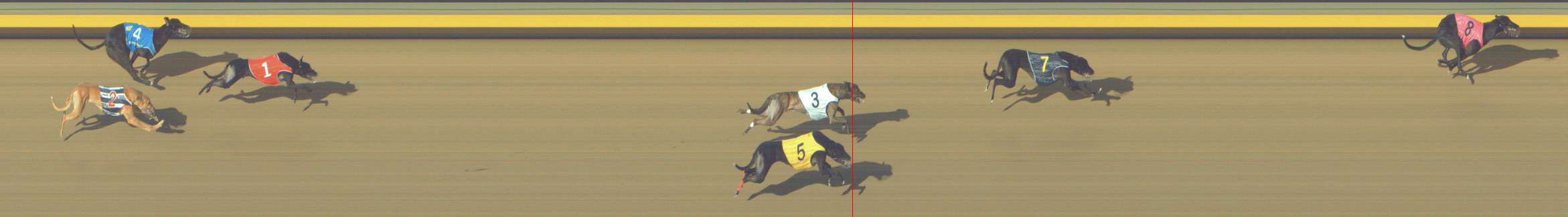 Photo finish for Shepparton Race 12