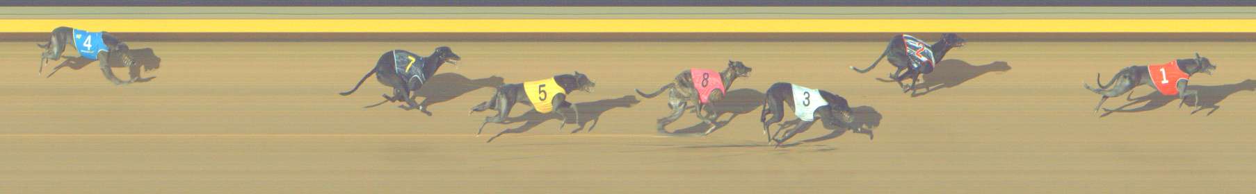 Photo finish for Shepparton Race 13