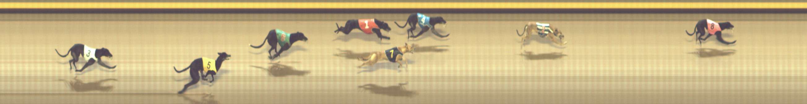Race result finish photo