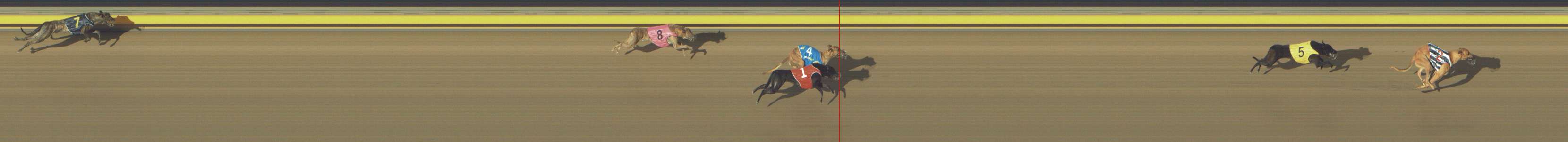 Race result finish photo