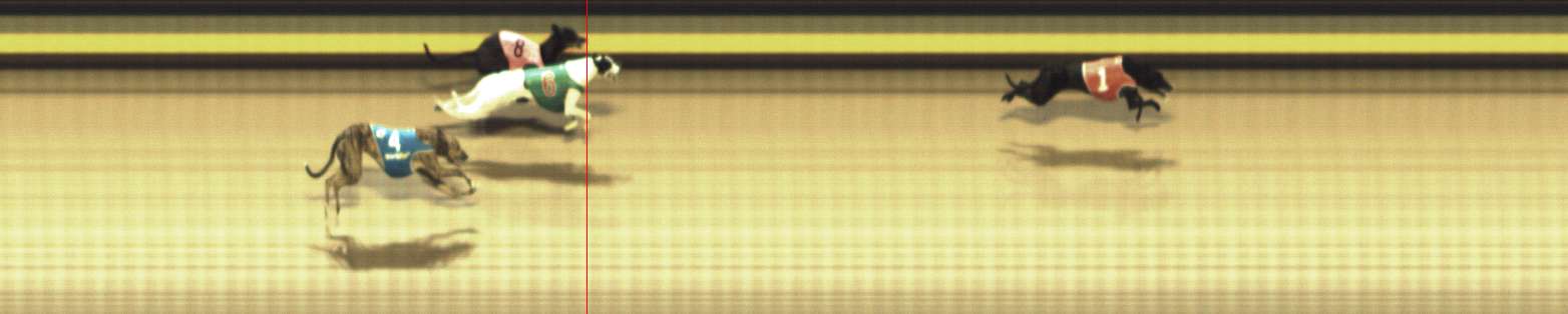 Photo finish for Shepparton Race 10