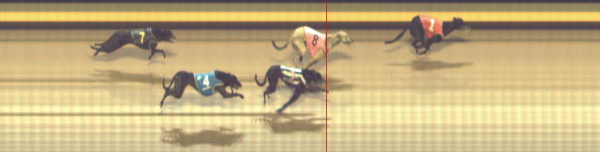 Photo finish for Shepparton Race 11