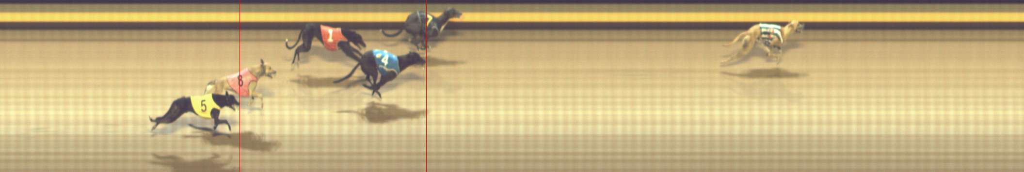 Photo finish for Shepparton Race 12