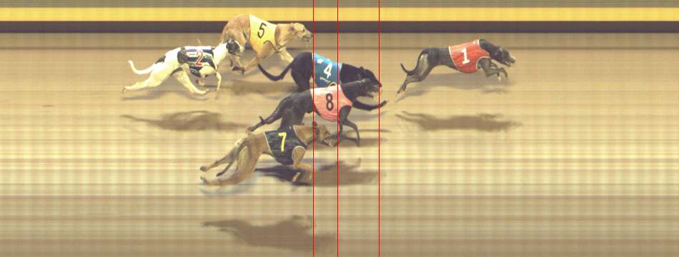 Photo finish for Shepparton Race 13