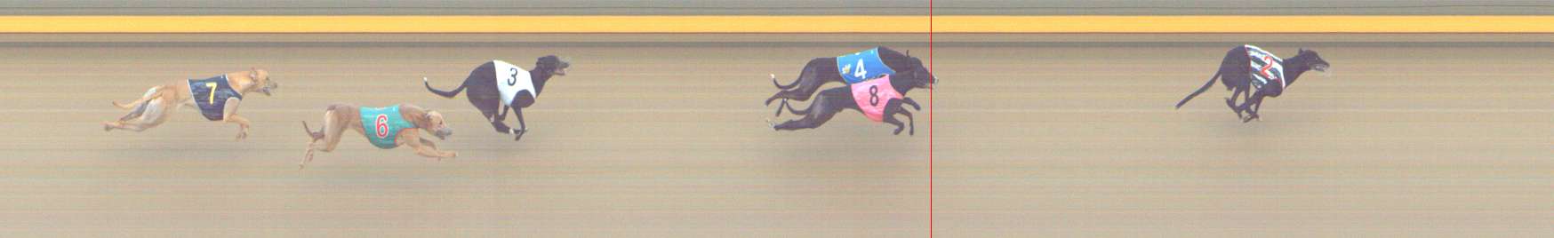 Race result finish photo