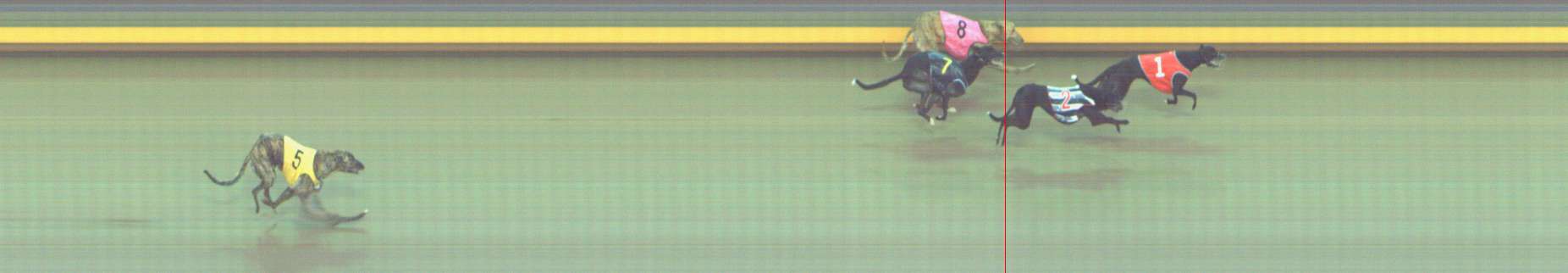 Photo finish for Shepparton Race 9