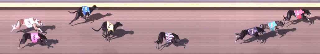Photo finish for Shepparton Race 10
