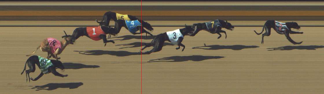 Photo finish for Shepparton Race 2