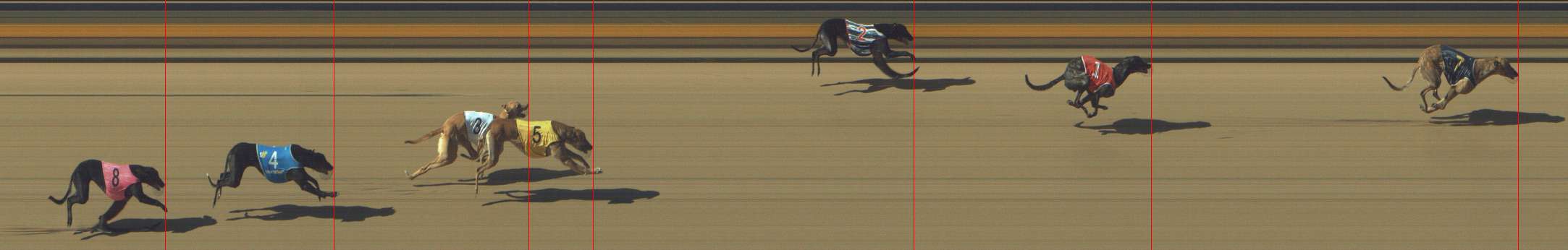 Photo finish for Shepparton Race 3