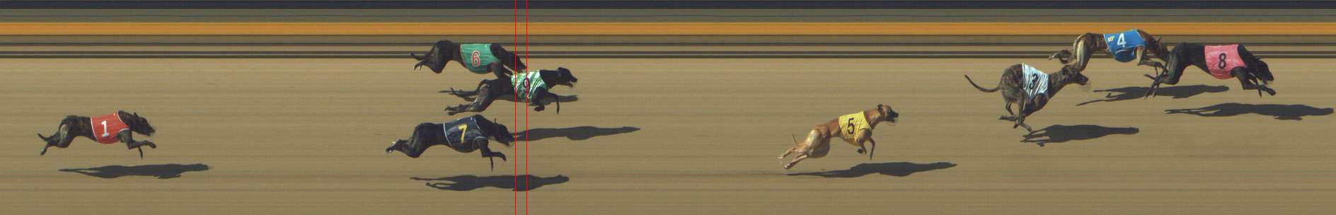 Photo finish for Shepparton Race 4