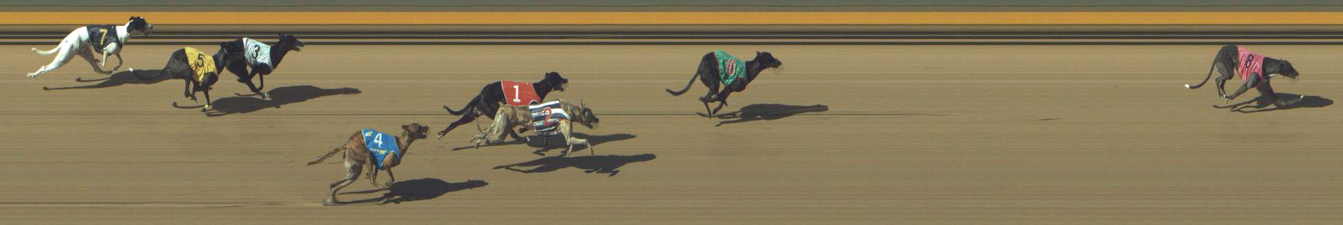 Photo finish for Shepparton Race 5
