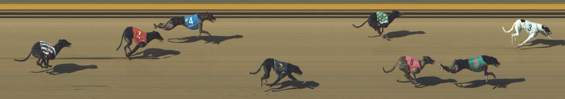 Photo finish for Shepparton Race 6